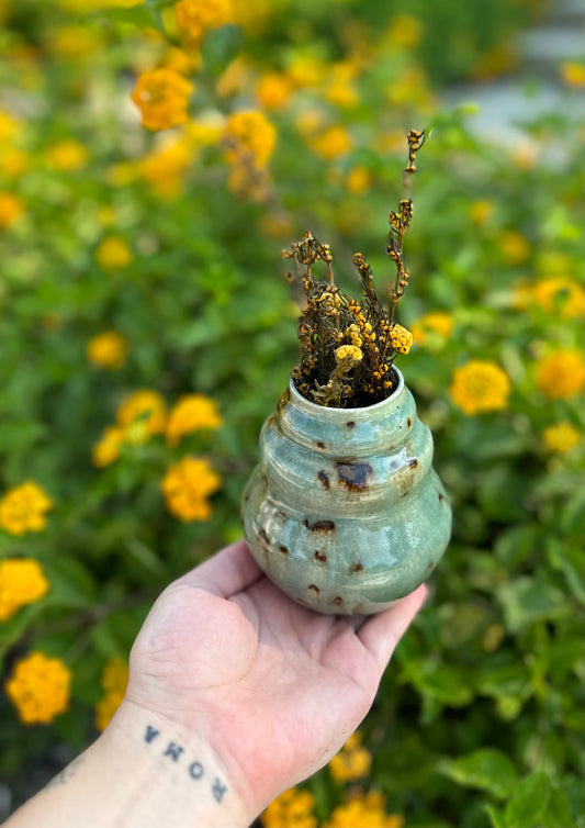 Hatched - Bud Vase